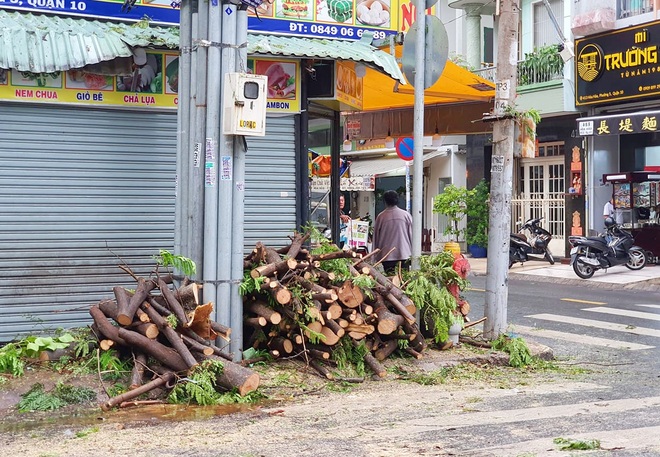 Cây xanh bật gốc đè bẹp xe máy trong cơn mưa lớn ở Sài Gòn, may mắn không có ai bị thương - Ảnh 5.