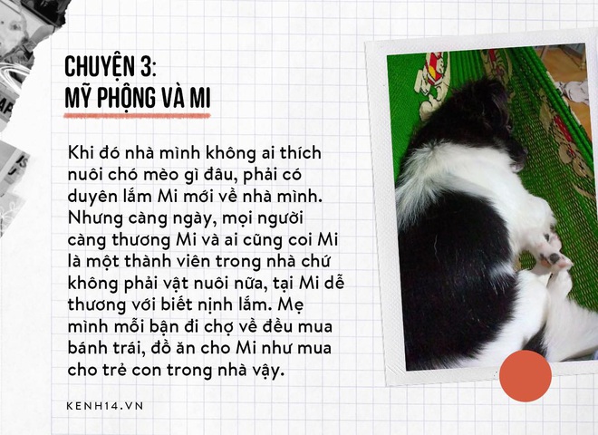 Có những mất mát khắc sâu trong lòng người nuôi chó mèo: Mình gọi em lạc cả giọng, khóc ròng, mà mãi em không về… - Ảnh 3.