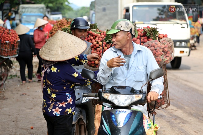 Người dân Bắc Giang tấp nập đi bán vải thiều chín mọng: “Chăm sóc cả năm chỉ chờ ngày này - Ảnh 3.