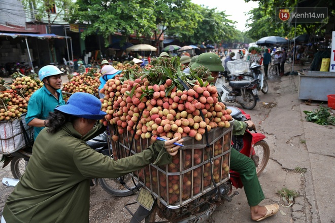 Người dân Bắc Giang tấp nập đi bán vải thiều chín mọng: “Chăm sóc cả năm chỉ chờ ngày này - Ảnh 4.