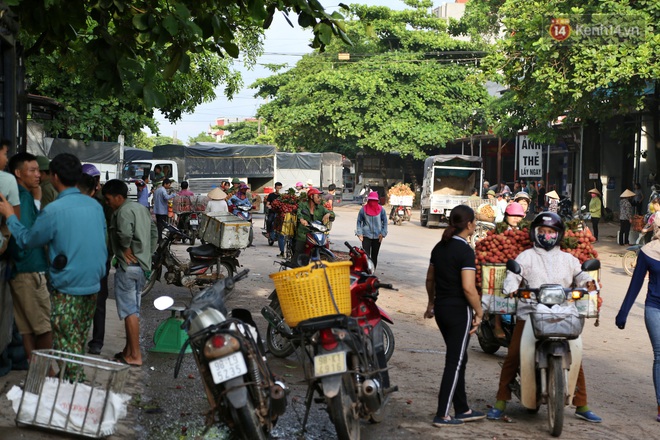 Người dân Bắc Giang tấp nập đi bán vải thiều chín mọng: “Chăm sóc cả năm chỉ chờ ngày này - Ảnh 1.