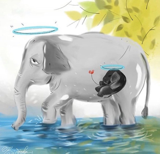 Xót thương voi mẹ mang thai chết vì ăn phải dứa nhét thuốc nổ, cộng đồng mạng chia sẻ những bức vẽ tưởng niệm đầy cảm xúc - Ảnh 4.