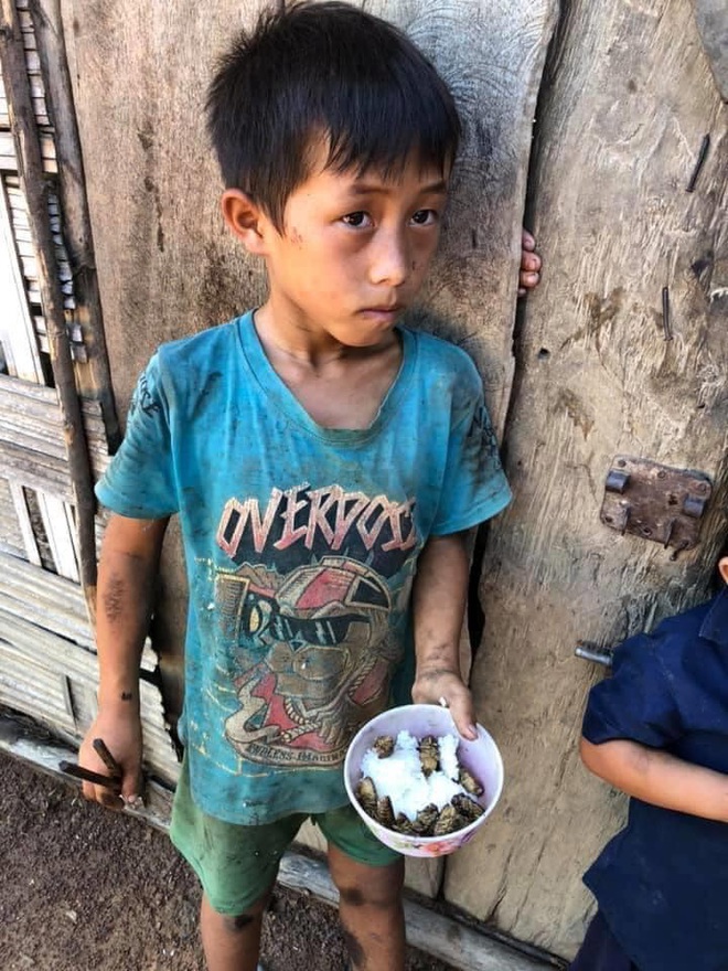 Xót xa bữa cơm của những đứa trẻ vùng cao Đắk Lắk: Chỉ có cơm nguội trộn với ve sầu - Ảnh 1.