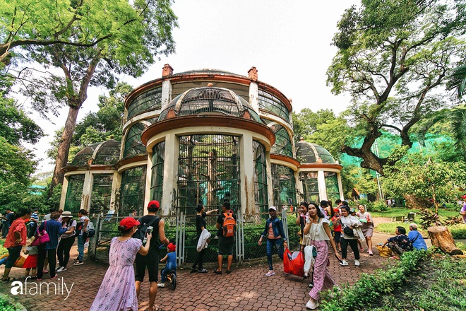 Lịch sử hơn 150 năm, nhưng đ&acirc;y l&agrave; 9 sự thật c&oacute; thể bạn chưa biết về Thảo Cầm Vi&ecirc;n khiến nơi n&agrave;y chưa bao giờ cũ như nhiều người vẫn nghĩ - Ảnh 20.