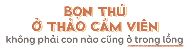 Lịch sử hơn 150 năm, nhưng đ&acirc;y l&agrave; 9 sự thật c&oacute; thể bạn chưa biết về Thảo Cầm Vi&ecirc;n khiến nơi n&agrave;y chưa bao giờ cũ như nhiều người vẫn nghĩ - Ảnh 7.