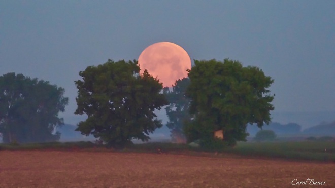 Ngất ngây với một loạt khoảnh khắc về hiện tượng mặt trăng dâu tây hiếm có diễn ra vào đêm qua, rạng sáng nay - Ảnh 13.