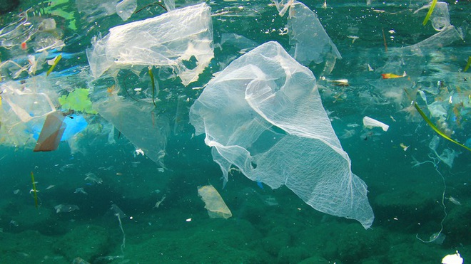Pháp tăng mức phạt cho hành động vứt bừa bãi khẩu trang, găng tay nhựa - Ảnh 1.