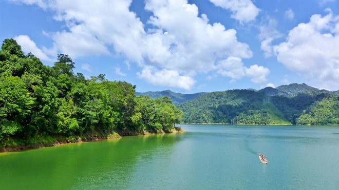 Mua rồi quên mất không ăn, túi trứng nở ra đàn rùa cực xinh nhưng đằng sau là một vấn đề khiến nhiều người cảm thấy nhói đau - Ảnh 1.