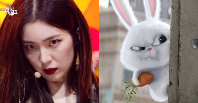 Thần thái ending với ánh mắt như dao cau của Irene (Red Velvet) tưởng đâu dọa được fan, ai ngờ lại bị so sánh quạo như... chú cún - Ảnh 8.