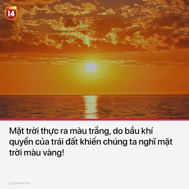 12 sự thật bất thường sẽ khiến bạn ngạc nhiên một chút về thế giới bình thường quanh ta - Ảnh 8.