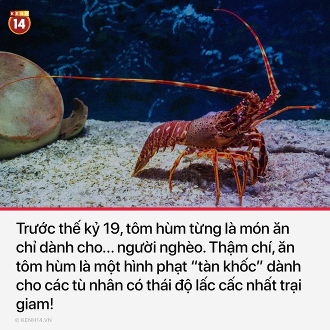 12 sự thật bất thường sẽ khiến bạn ngạc nhiên một chút về thế giới bình thường quanh ta - Ảnh 5.