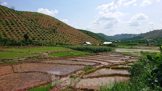 Đắk Nông: Cận cảnh những giấy cam kết không tiêm chủng rất lạ - Ảnh 5.