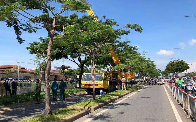 TP. HCM: Xe ben đang chạy bất ngờ lao đầu xuống kênh Tàu Hủ, tài xế hoảng hồn tung cửa bơi vào bờ - Ảnh 1.