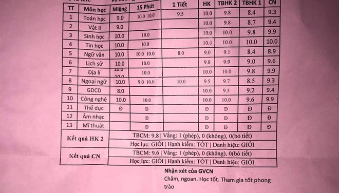 Đạt điểm trung bình 9.6, hạng 3, nữ sinh lớp 7 vẫn bị bố mẹ chê: Thế này thì có giỏi giang gì? - Ảnh 1.