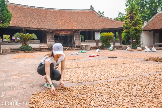 Ngoại thành Hà Nội có một cổ trấn trăm năm tuổi, nơi lưu giữ tuổi thơ của những con người lớn lên vùng đất Bắc - Ảnh 4.