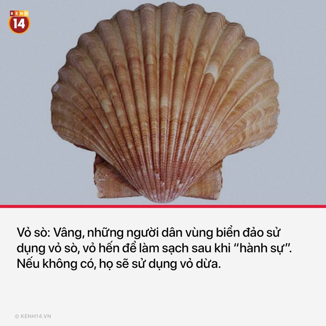 Góc suy ngẫm: trước khi giấy vệ sinh ra đời, nhân loại đã phải dùng gì sau khi giải quyết? - Ảnh 6.