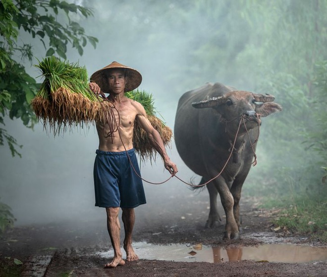 Hình Ảnh Phong Cảnh Thiên Nhiên Đẹp Nhất Thế Giới  Chất Lượng Cao