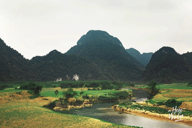 Nh&#236;n những h&#236;nh ảnh đẹp m&#234; ly n&#224;y mới hiểu v&#236; sao d&#226;n t&#236;nh k&#233;o nhau đi T&#250; L&#224;n ng&#224;y c&#224;ng nhiều - Ảnh 1.