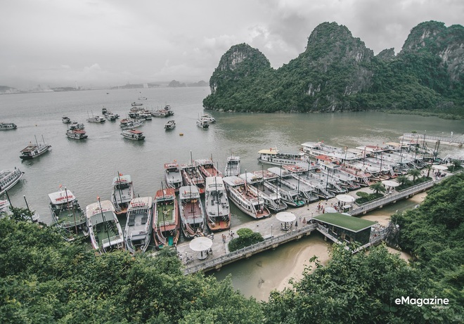 Hậu cách ly, ai cũng muốn đi du lịch ngon-bổ-rẻ nên hãy ghi nhớ những bí kíp để có chuyến đi thật thú vị - Ảnh 6.