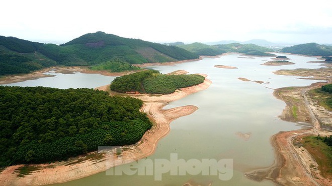 Điều chưa từng xảy ra ở hồ nước ngọt lớn nhất Quảng Ninh: Bò dạo chơi giữa lòng hồ - Ảnh 1.
