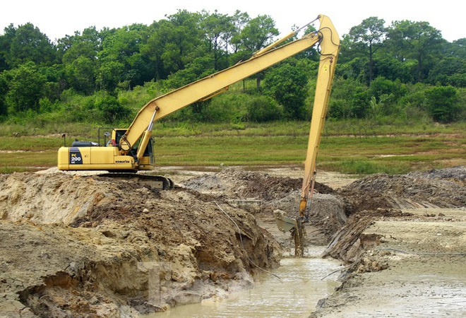 Điều chưa từng xảy ra ở hồ nước ngọt lớn nhất Quảng Ninh: Bò dạo chơi giữa lòng hồ - Ảnh 5.