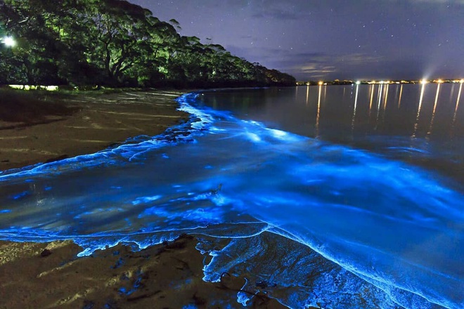 Những bãi biển màu mè nhất thế giới mà bạn sẽ không tin có thật ngoài đời, xem xong mới thấy thiên nhiên “vi diệu” thế nào! - Ảnh 6.