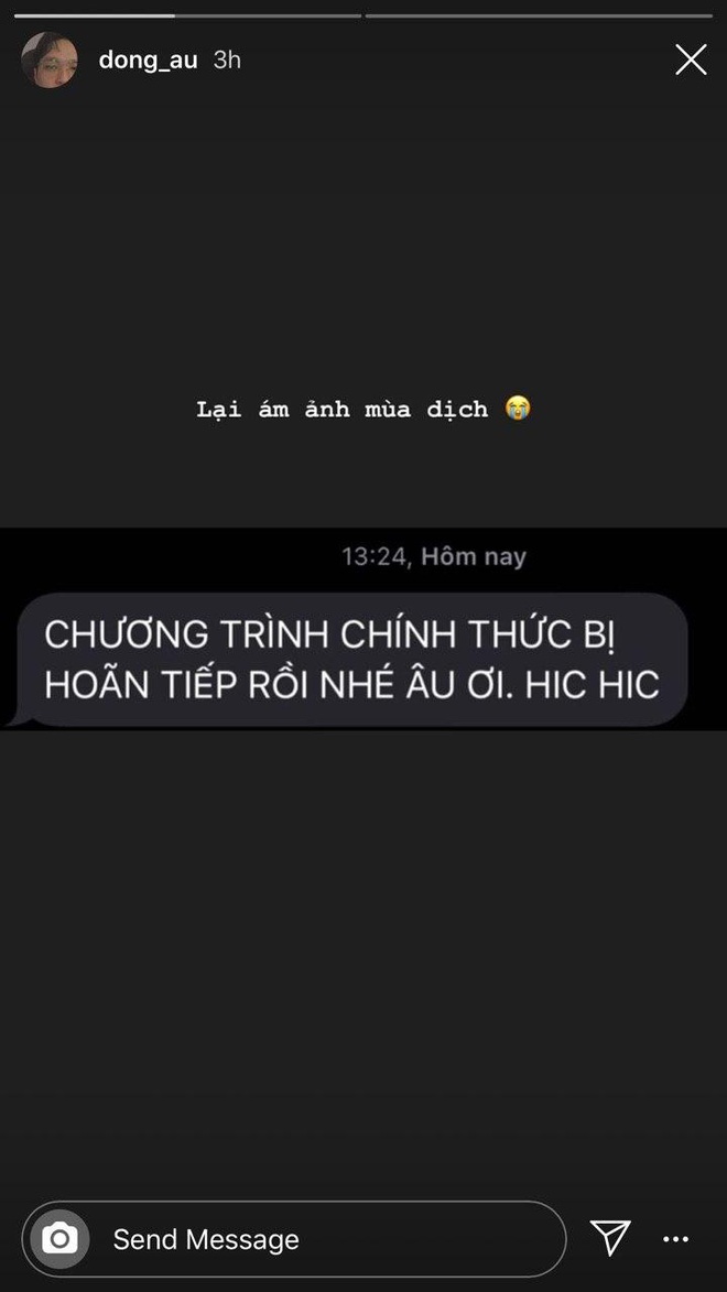 Không chỉ Thái Trinh mà Erik, Lou Hoàng, Suni Hạ Linh đều hoãn show trước diễn biến phức tạp của dịch Covid-19 tại Đà Nẵng? - Ảnh 4.