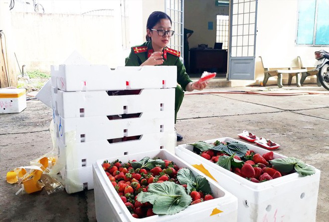 N&ocirc;ng sản Trung Quốc đội lốt đặc sản Đ&agrave; Lạt: Gian thương tiếp tay - Ảnh 1.