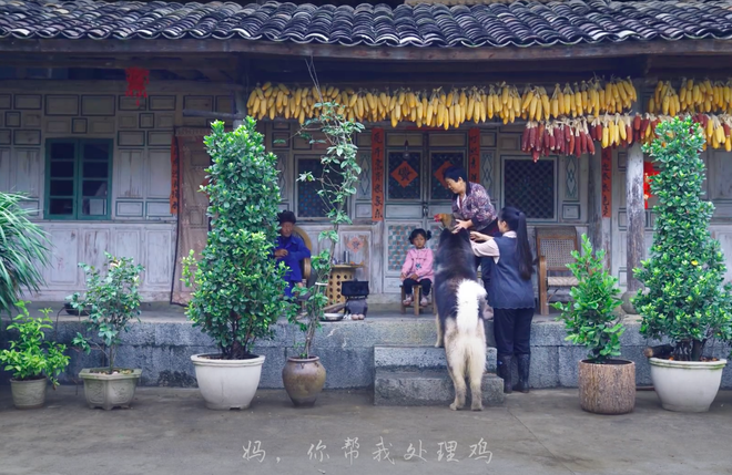 Ngay tại Trung Quốc đã có loạt vlogger phong cách na ná Lý Tử Thất, có người còn gần như “copy” nguyên si - Ảnh 6.