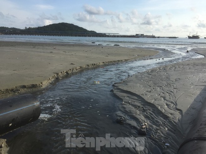 Xe dán tên công ty môi trường đổ trộm chất thải ở đảo ngọc Cô Tô - Ảnh 6.