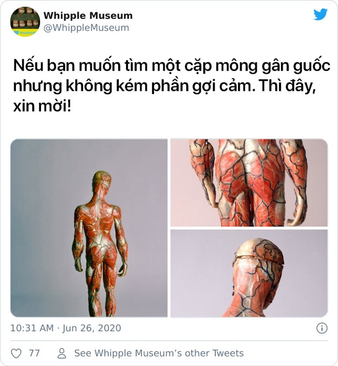 Cuộc chiến khốc liệt giữa các bảo tàng xem tác phẩm nghệ thuật nào có... bờ mông đốt mắt nhất! - Ảnh 14.