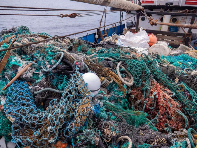 100 tấn rác cùng phát hiện đau lòng trong đợt thu dọn đại dương lớn nhất lịch sử: Con người đã đối xử quá tàn nhẫn với Trái đất rồi - Ảnh 2.