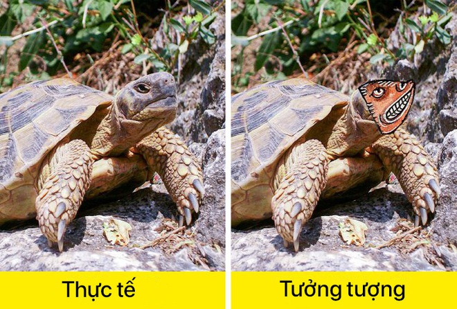 Cuộc thi nhan sắc muôn loài qua trí tưởng tượng phong phú của các họa sĩ thời Trung Cổ - Ảnh 1.