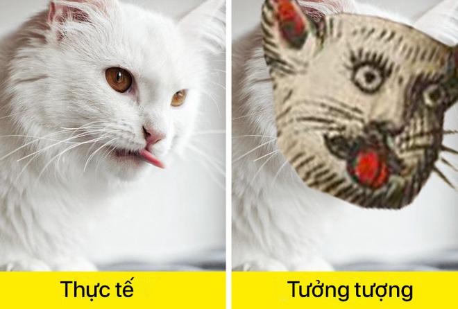 Cuộc thi nhan sắc muôn loài qua trí tưởng tượng phong phú của các họa sĩ thời Trung Cổ - Ảnh 2.