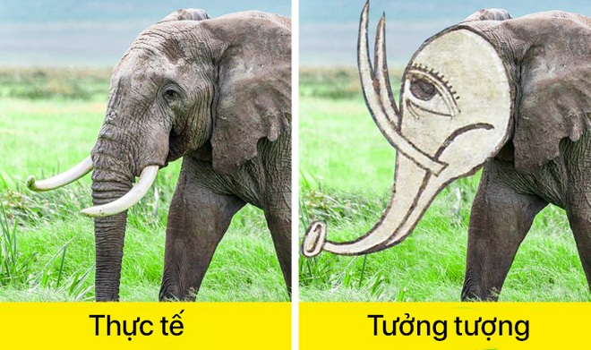 Cuộc thi nhan sắc muôn loài qua trí tưởng tượng phong phú của các họa sĩ thời Trung Cổ - Ảnh 12.