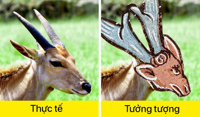 Cuộc thi nhan sắc muôn loài qua trí tưởng tượng phong phú của các họa sĩ thời Trung Cổ - Ảnh 17.