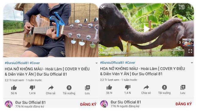 Cha đẻ ca khúc Hoa Nở Không Màu của Hoài Lâm công khai cảnh cáo, gắn cờ kênh YouTube vi phạm bản quyền trắng trợn - Ảnh 2.