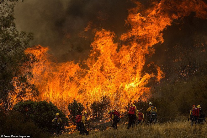 California hóa Hỏa Diệm Sơn vì cháy rừng, dân liều mình lái xe lao qua biển lửa - Ảnh 2.