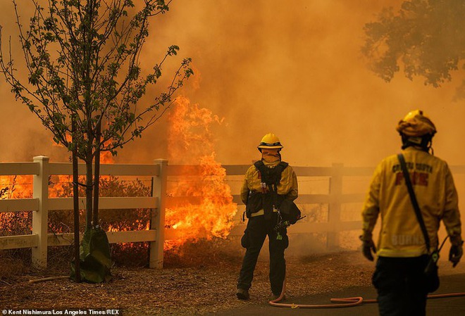 California hóa Hỏa Diệm Sơn vì cháy rừng, dân liều mình lái xe lao qua biển lửa - Ảnh 11.