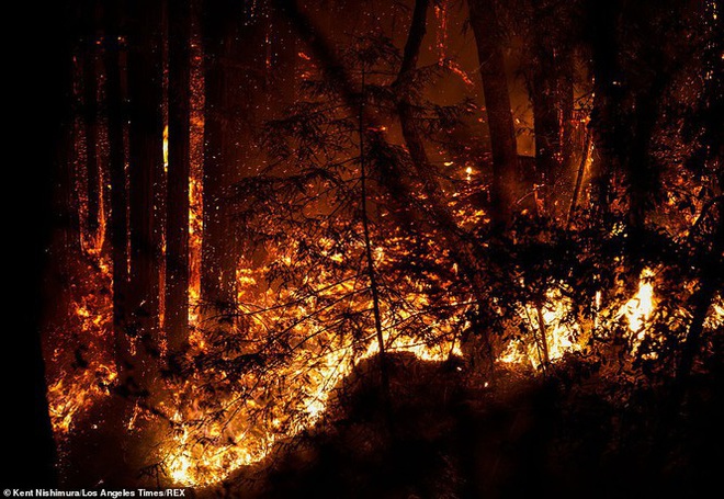 California hóa Hỏa Diệm Sơn vì cháy rừng, dân liều mình lái xe lao qua biển lửa - Ảnh 4.