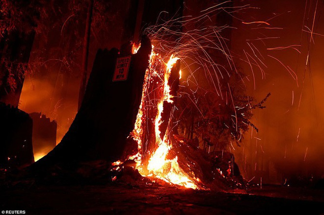 California hóa Hỏa Diệm Sơn vì cháy rừng, dân liều mình lái xe lao qua biển lửa - Ảnh 5.