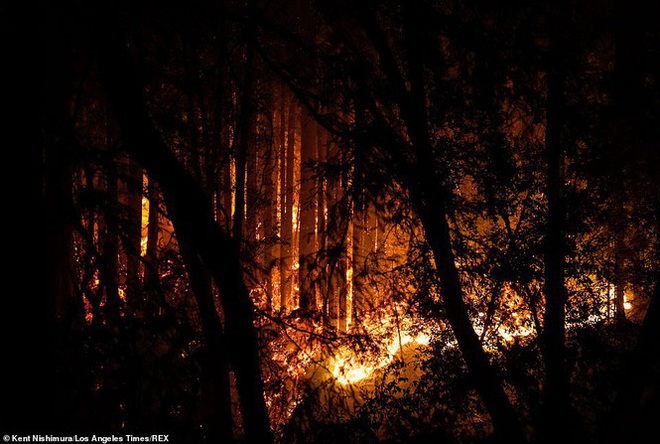California hóa Hỏa Diệm Sơn vì cháy rừng, dân liều mình lái xe lao qua biển lửa - Ảnh 8.