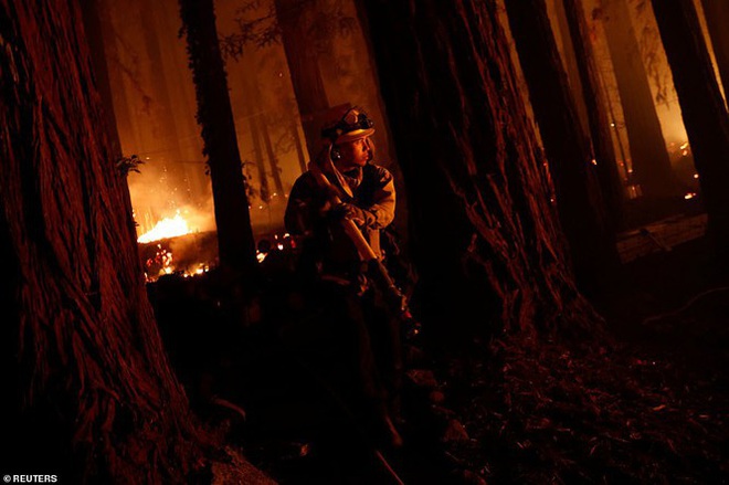 California hóa Hỏa Diệm Sơn vì cháy rừng, dân liều mình lái xe lao qua biển lửa - Ảnh 9.