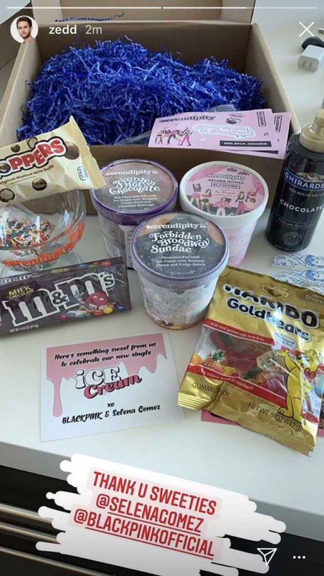 “Bóc” set quà cực xịn PR cho Ice Cream của BLACKPINK và Selena Gomez: Có cả một “tủ lạnh” đựng kem, ngập tràn kẹo ngọt ngào - Ảnh 2.