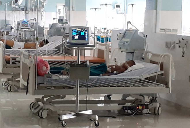 Người đ&agrave;n &ocirc;ng nguy kịch v&igrave; bị đ&agrave;n ong v&ograve; vẽ tấn c&ocirc;ng - Ảnh 1.