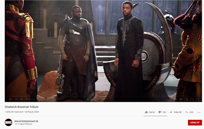 Đại gia đình Marvel đăng clip tưởng nhớ Báo Đen Chadwick Boseman: Anh xứng đáng đội vương miện như một vị vua đức hạnh - Ảnh 14.