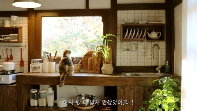 Tiên nữ đồng quê phiên bản Hàn: Nữ vlogger bỏ nơi phố thị đến ở ngôi nhà trong rừng, sống cuộc đời bình yên đáng mơ ước - Ảnh 4.