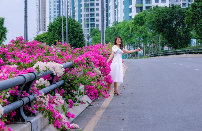 Gần Hà Nội lại có thêm một cây cầu hoa giấy, chụp lên ảnh đẹp như tranh vẽ - Ảnh 7. Gần Hà Nội lại có thêm một cây cầu hoa giấy, chụp lên ảnh đẹp như tranh vẽ - Ảnh 7.