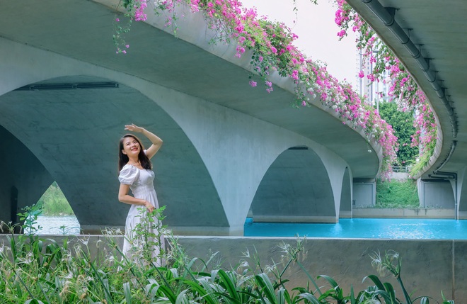 Gần Hà Nội lại có thêm một cây cầu hoa giấy, chụp lên ảnh đẹp như tranh vẽ - Ảnh 8. Gần Hà Nội lại có thêm một cây cầu hoa giấy, chụp lên ảnh đẹp như tranh vẽ - Ảnh 8.