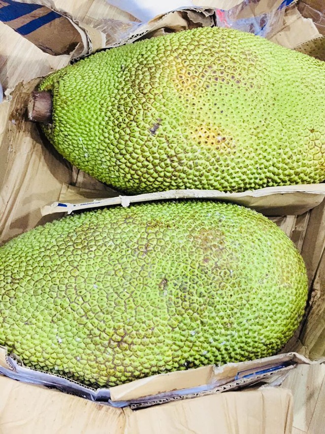 Lạ miệng m&iacute;t ruột đỏ m&uacute;i to d&agrave;y, thơm ngọt c&oacute; gi&aacute; 120 ng&agrave;n đồng/kg vẫn h&uacute;t kh&aacute;ch s&agrave;nh ăn - Ảnh 2.